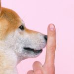 How Hand Signals for Dog Training Are Vital to Service Dog Success